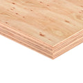 FENOLICO CDX CARA EUCA 18MM 1.22 X 2.44 MTS - Fenolicos | Servimport
